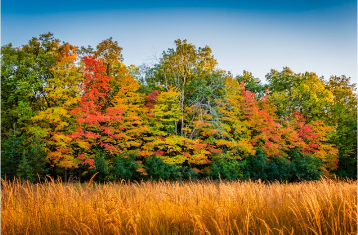 Skin Conditions and Seasonal Changes